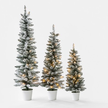 Anko Set of 3 Snowy Prelit Potted Christmas Trees
