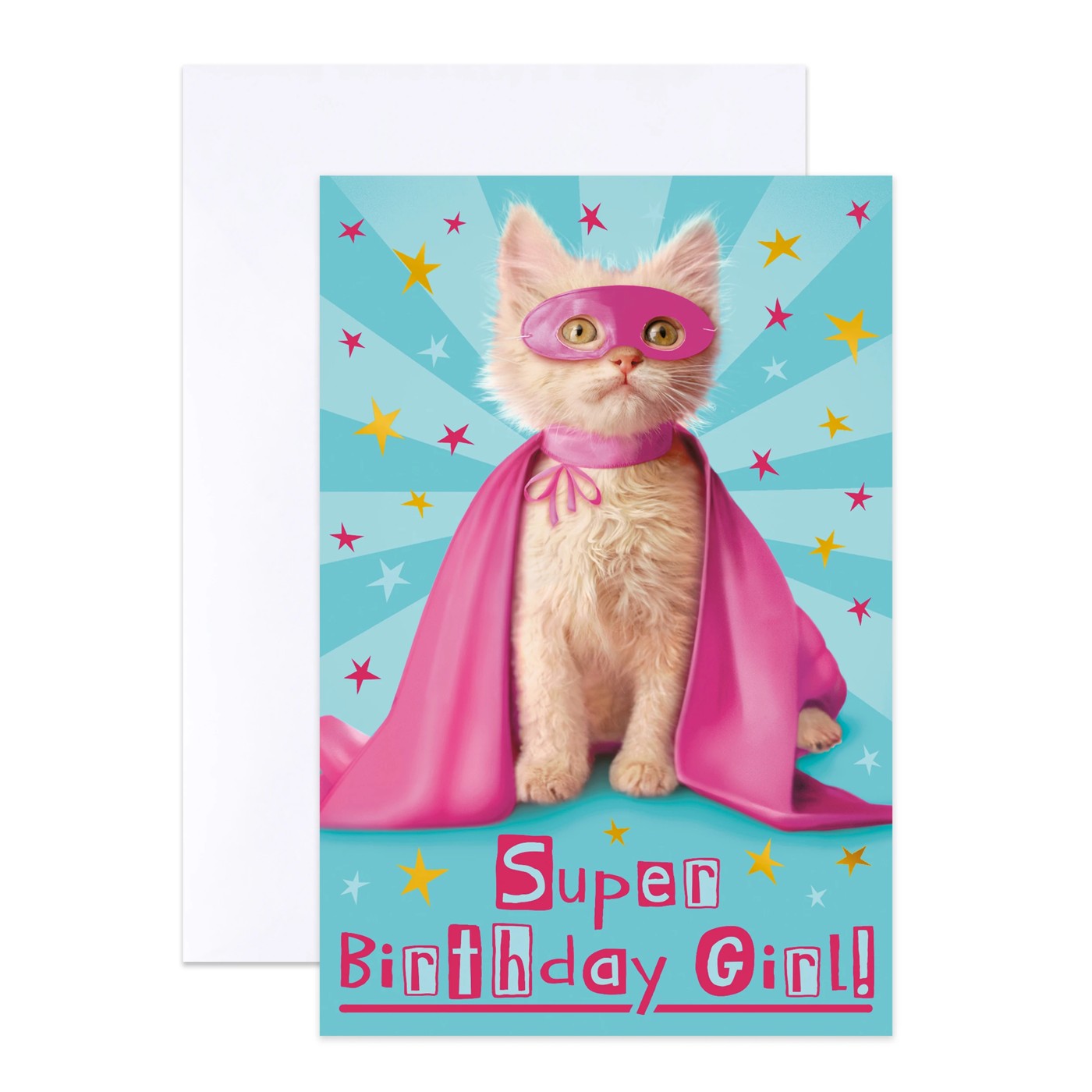 12 Pack Hallmark Birthday Cards - Cat and Dog 3 of 6