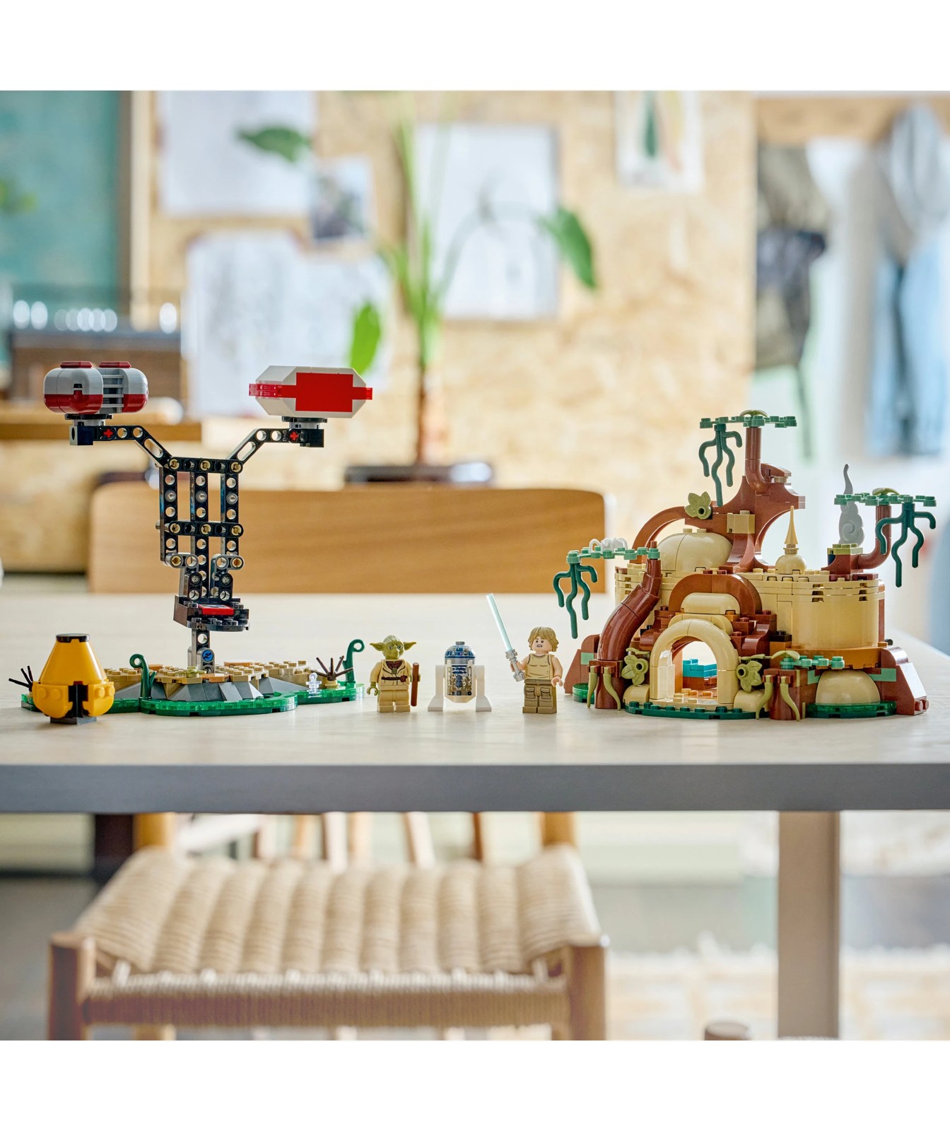 72352151-IMG-75422_10