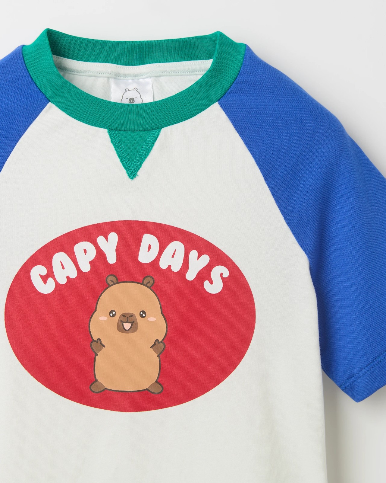 CapyFun Australian Cotton Raglan Sleeve Oversized Heavyweight T-Shirt 2 of 3