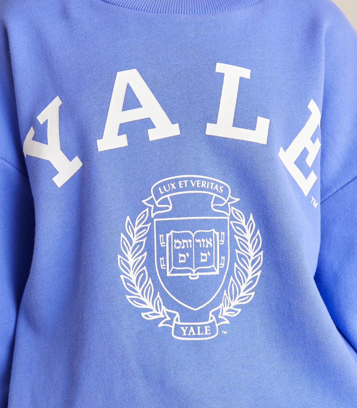 Vintage 90s YALE University Crewneck Sweatshirt Big Logo YALE 