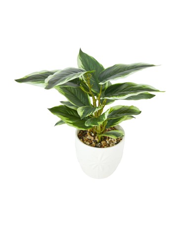 Anko Artificial Leopard Lily Plant in Palm Pot