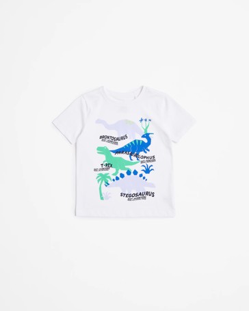 Organic Cotton Print T-shirt