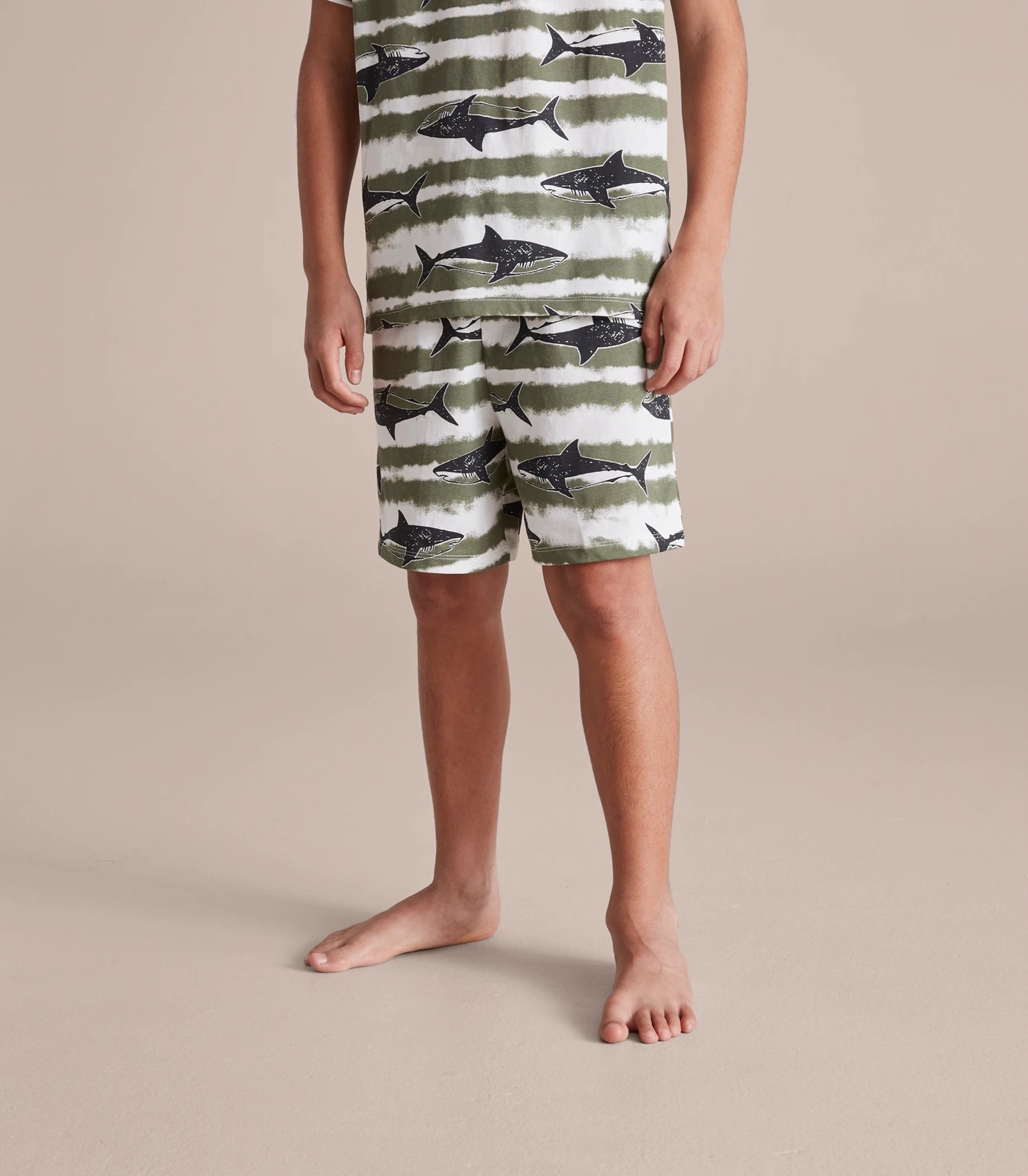 66957904_11+2114B1_370