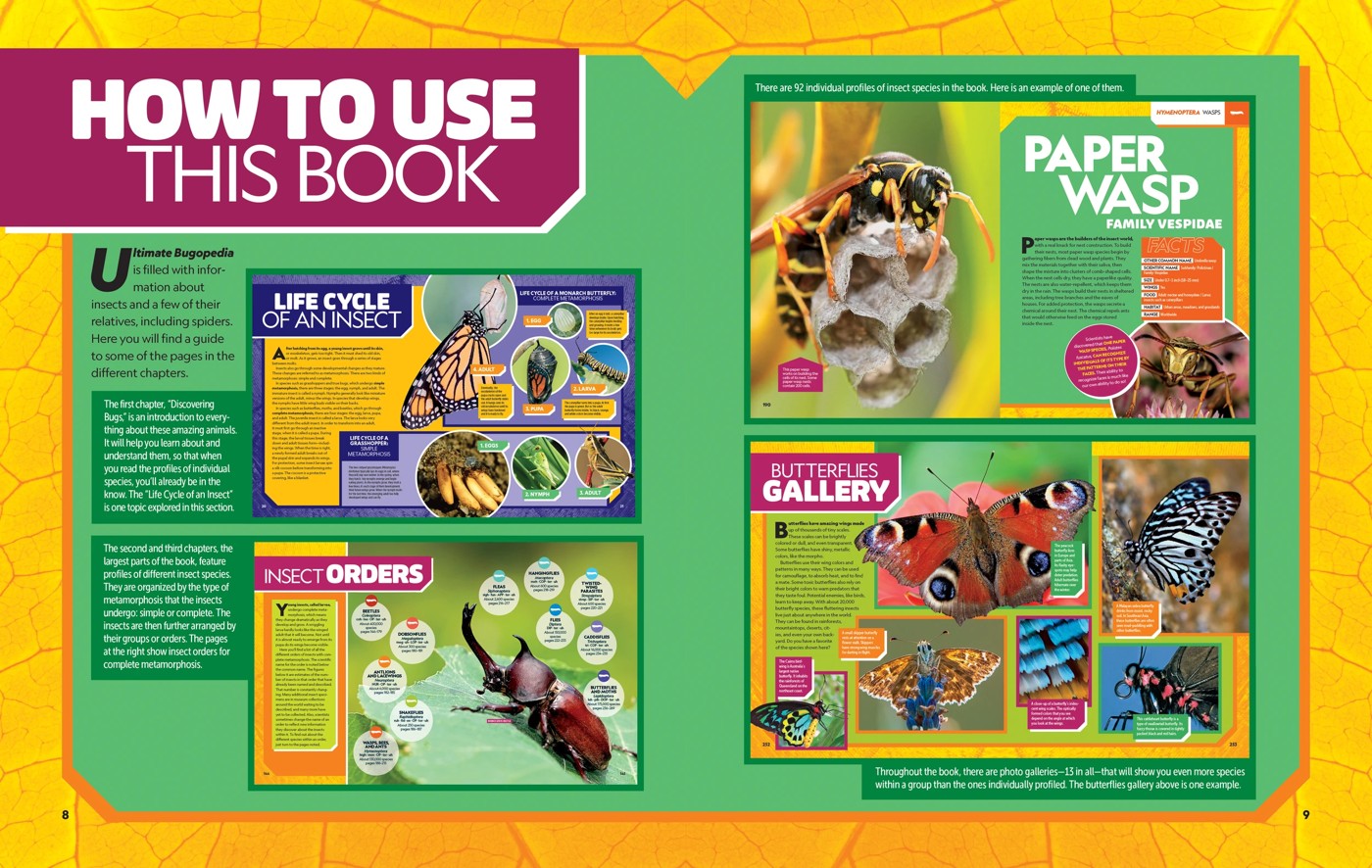 National Geographic Kids: Ultimate Bug-0pedia Second Edition by Darlyne Murawski and Nancy Honovich - Book 4 of 5
