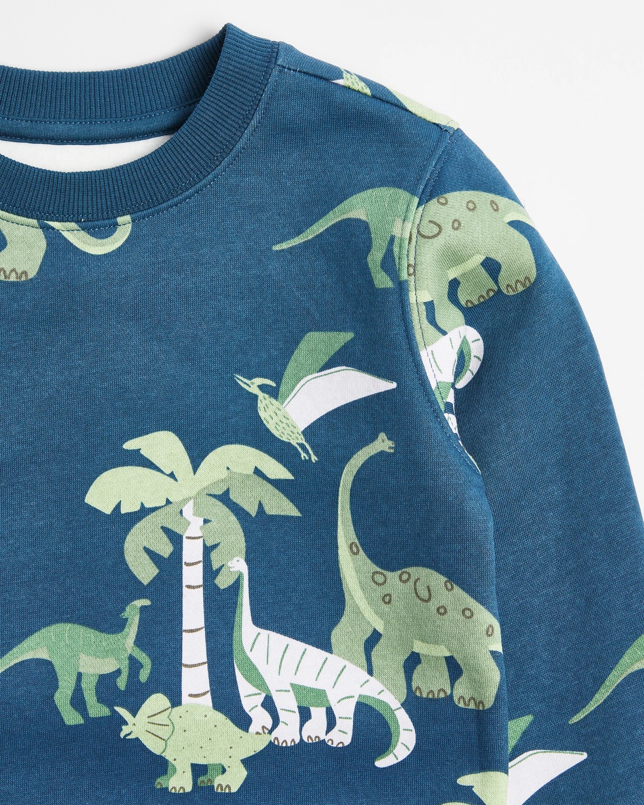 Dinosaur Jumper 5 of 5