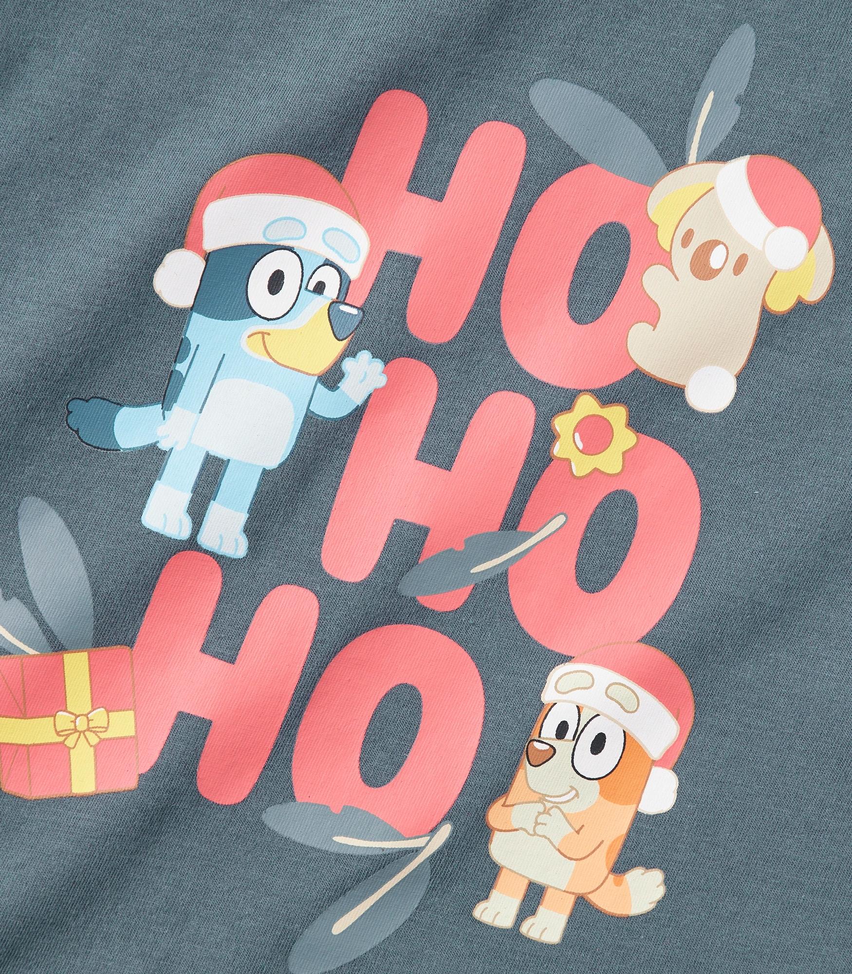 bluey christmas shirt big w