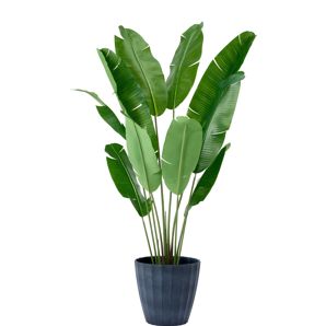 Anko 50cm Concave Plastic Pot - Black thumbnail 2