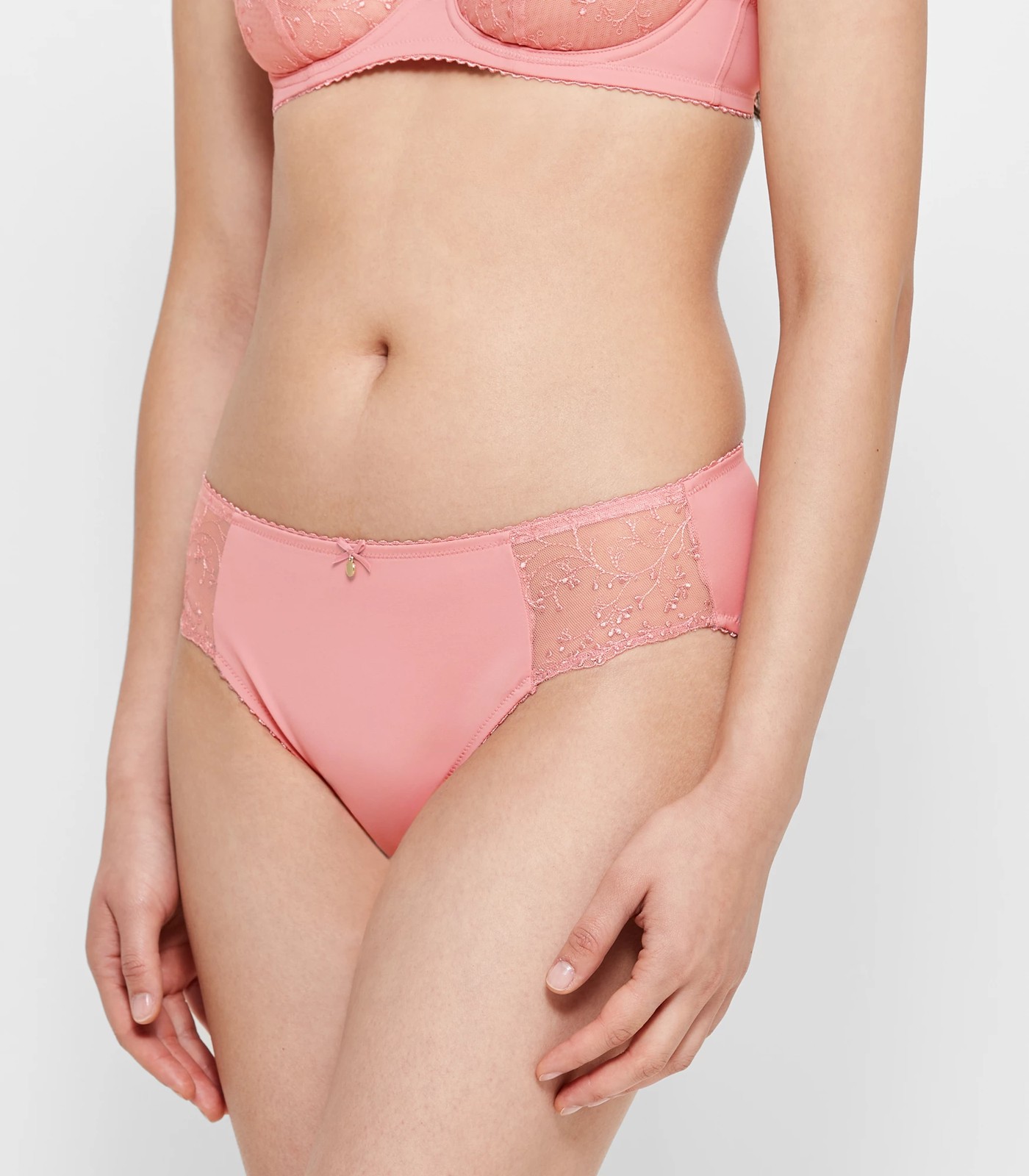 Embroidered High Cut Briefs - Preview - Rose Elegance