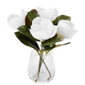 Anko Artificial Magnolias in Glass Vase product image