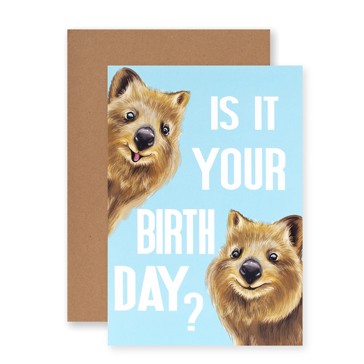 Connections from Hallmark Birthday Card - Is It Your Birth Day?