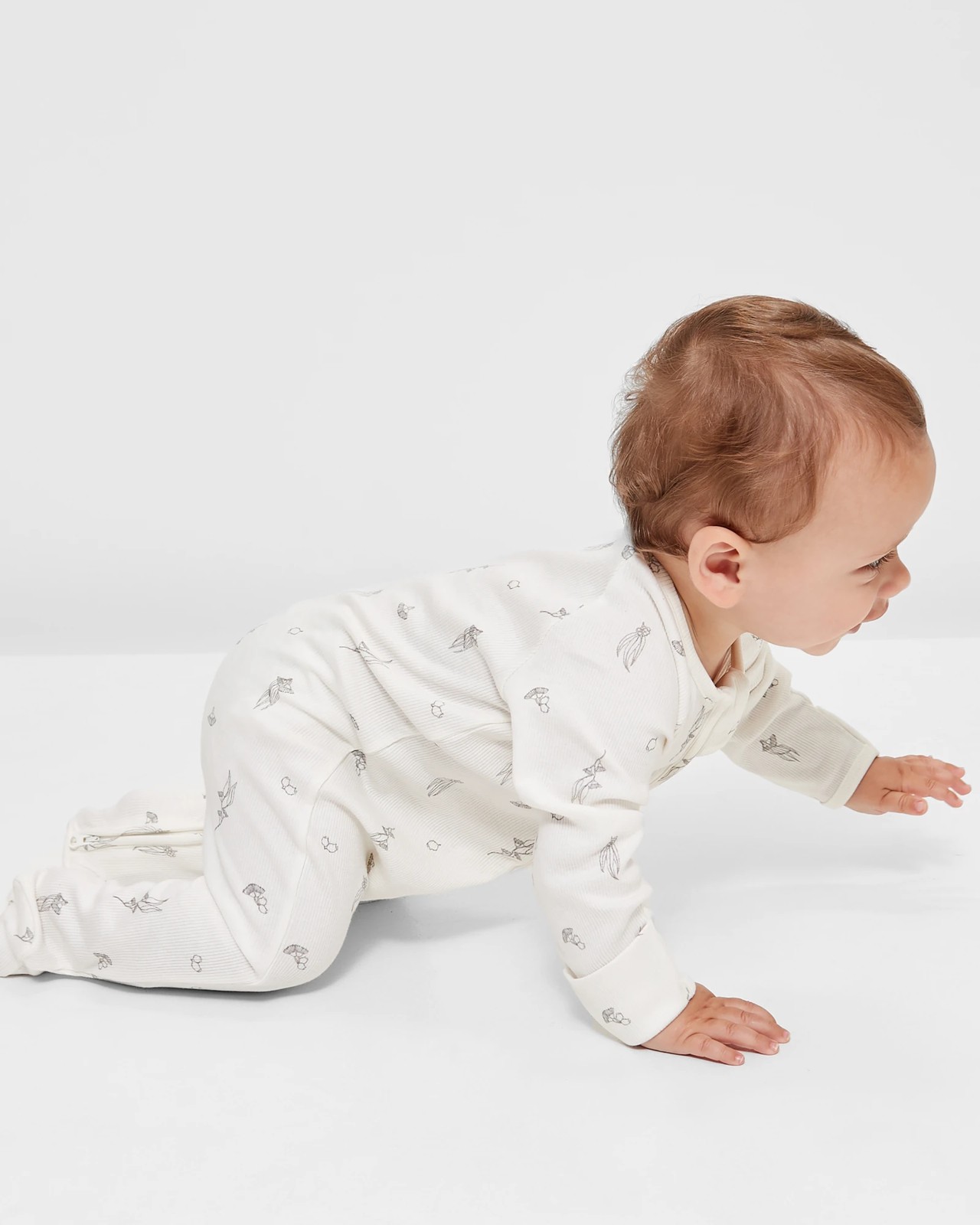 355_67243631_2+273396