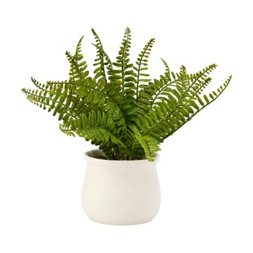 Artificial Fern in Pot - Anko