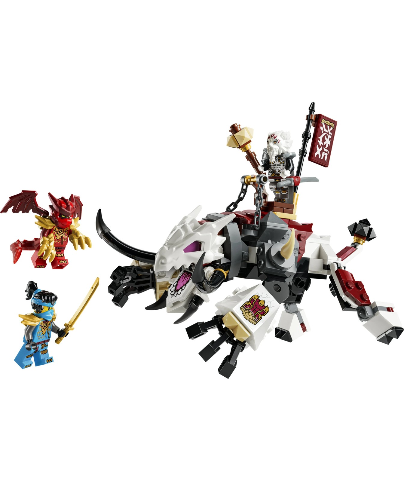 72991947-IMG-007