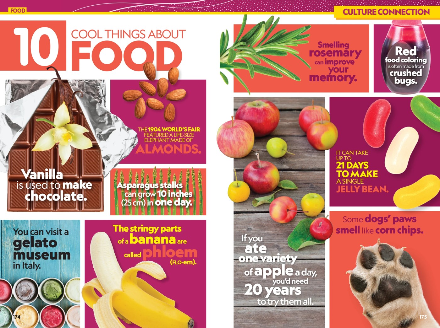 National Geographic Kids: Infopedia 2027 - Book 3 of 4