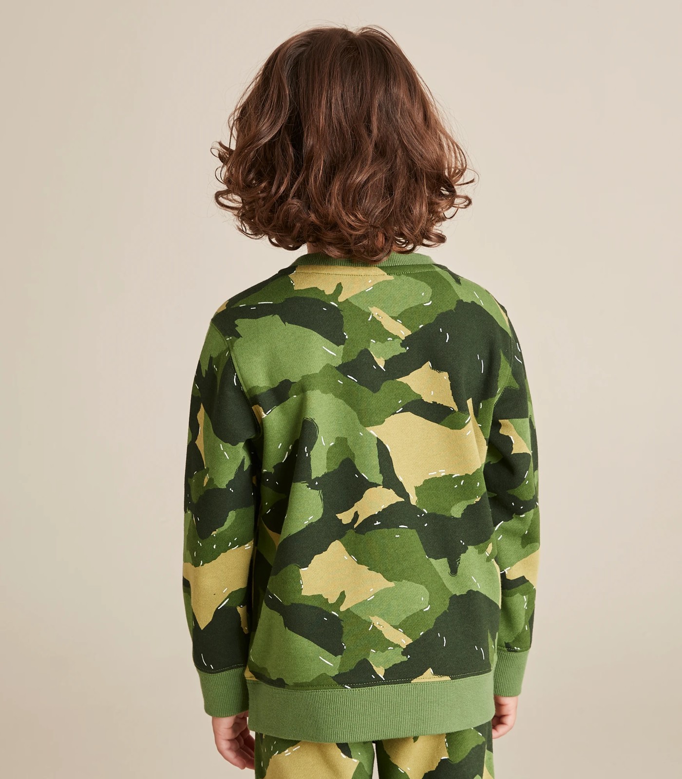 350_67379880_43+23D763