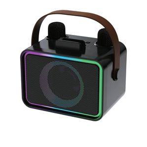 Anko 8W Karaoke Speaker with 2 Mic product image