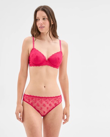 Ivy Embroidered Bikini Briefs