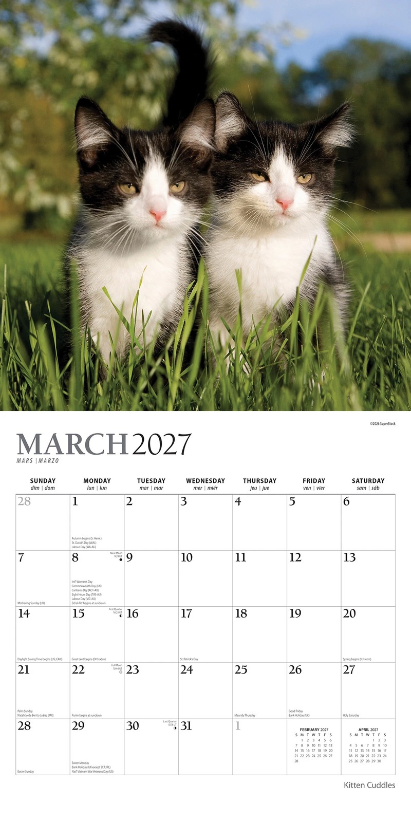 Cats 2027 16-Month Calendar - Assorted 4 of 6