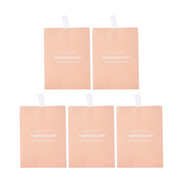 5 Piece Tropical Punch Scented Sachets, Pineapple and Melon - Anko