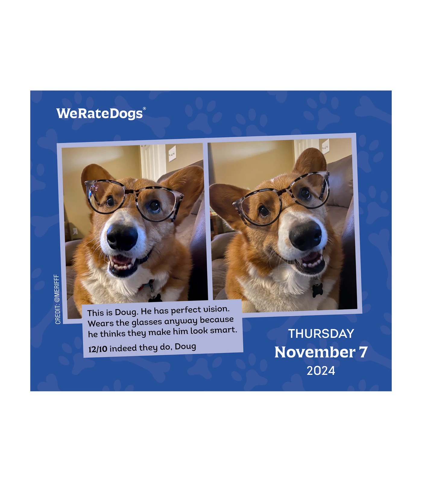 We Rate Dogs 2024 Boxed Calendar Target Australia