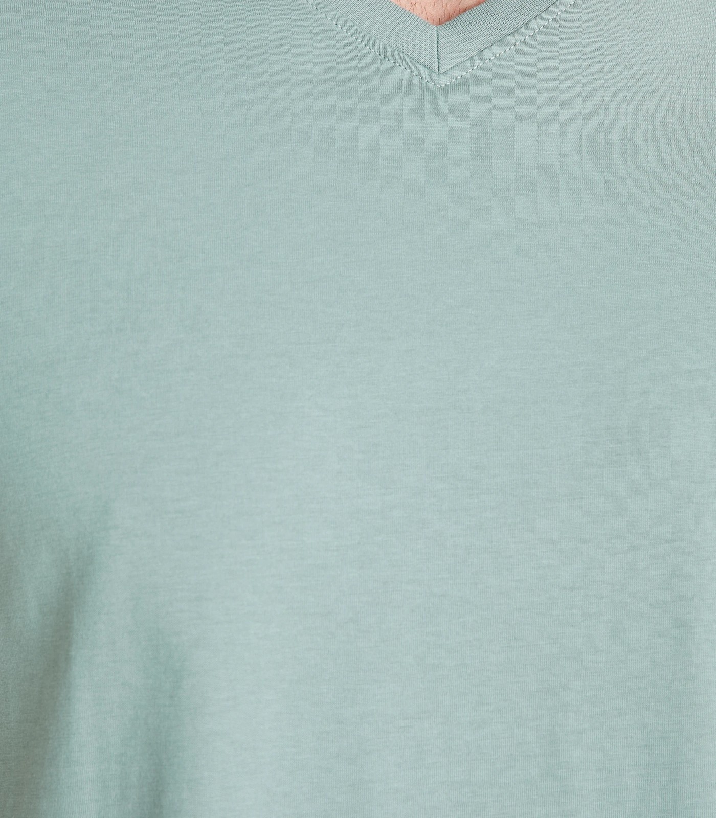Organic Cotton V-Neck T-Shirt 4 of 6