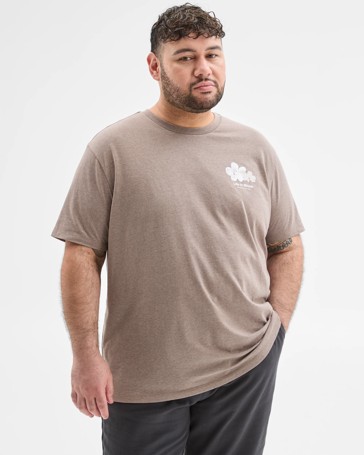 Plus Size Print T-Shirt