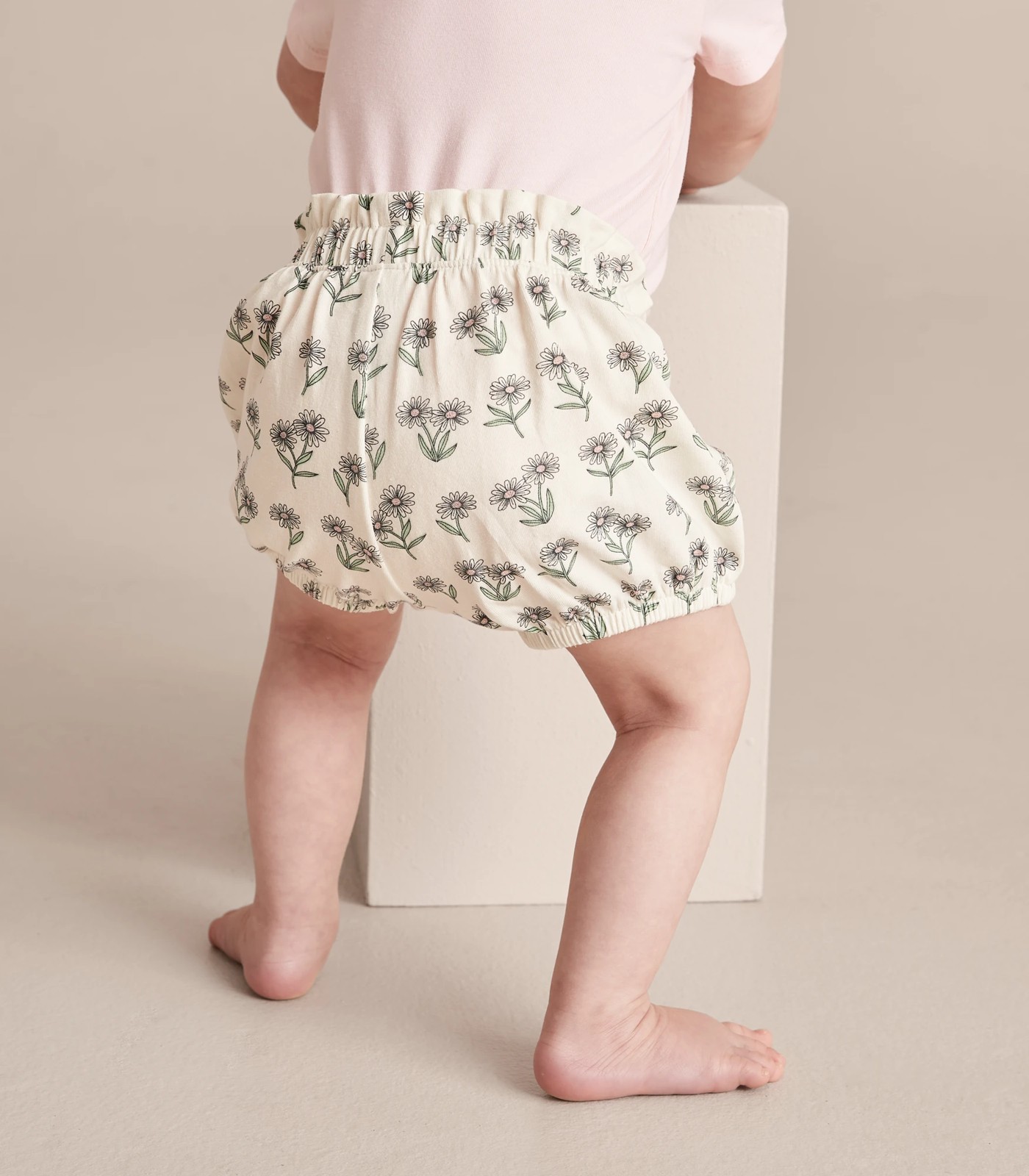 355_67112029_13+220EB4