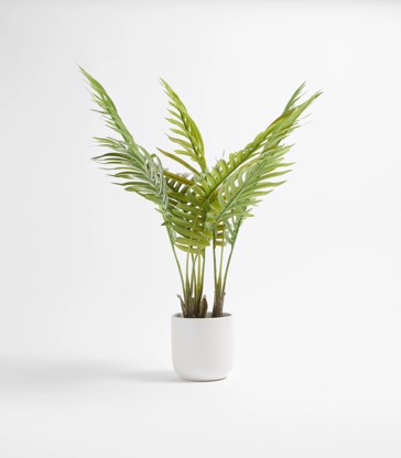 Faux Areca Plant 56cm