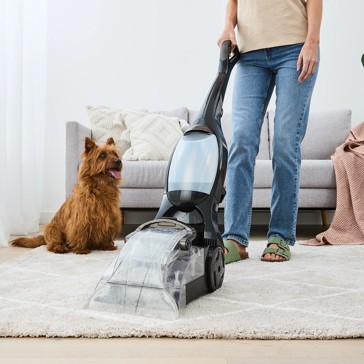 Carpet Cleaner - Anko