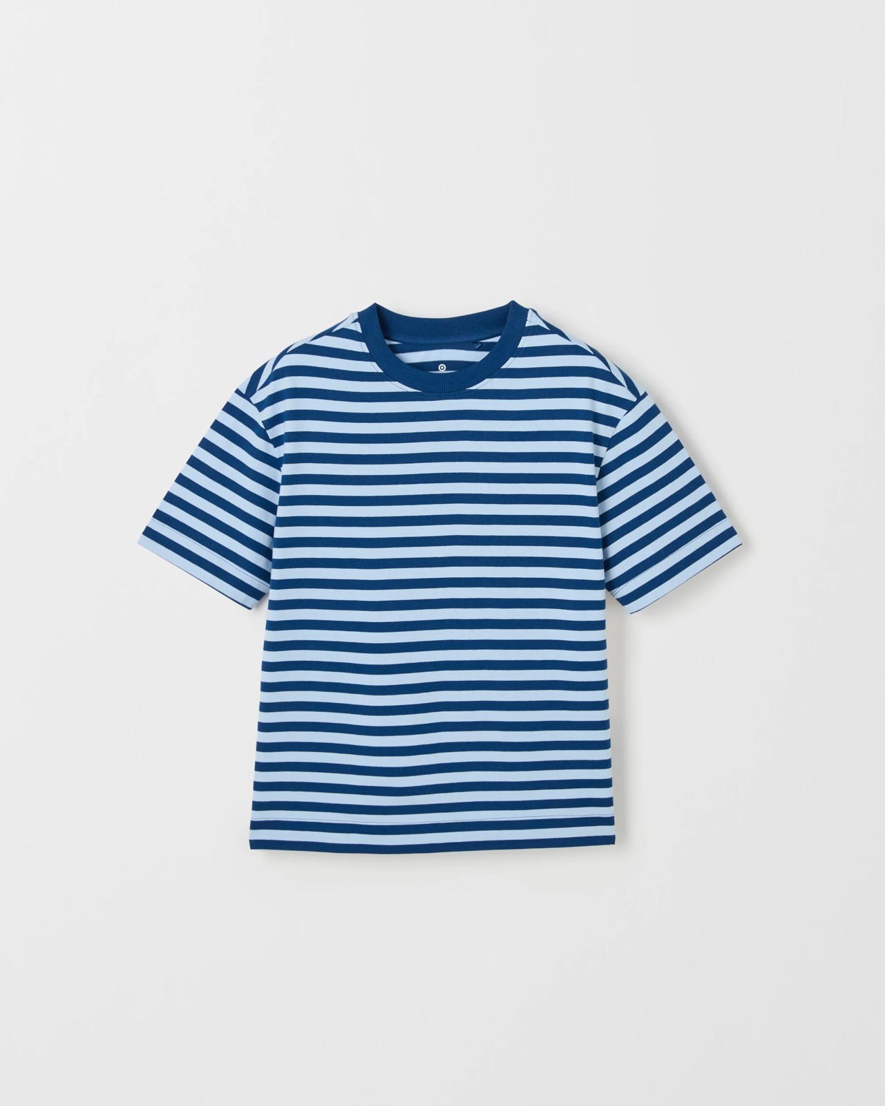 Organic Cotton Heavyweight Oversized T-Shirt - Blue / Stripe 5 of 6