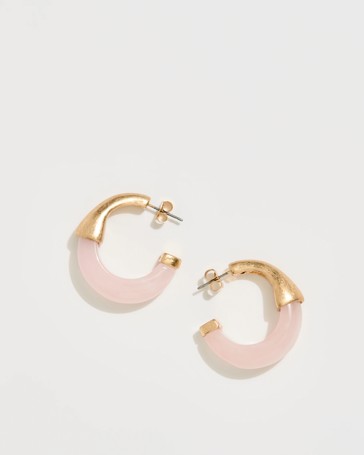 Two Tone Resin Hoop Earrings