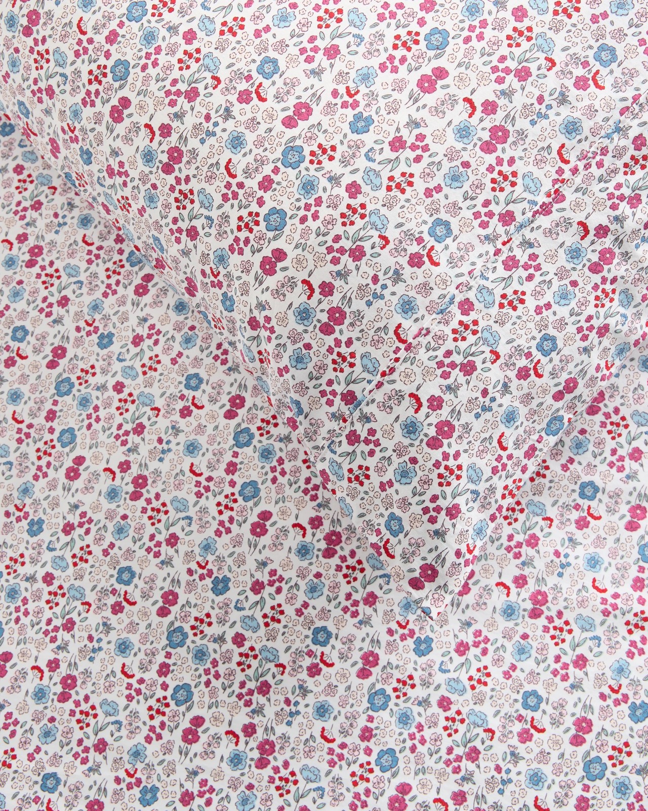 500_72004661_3+500T7200