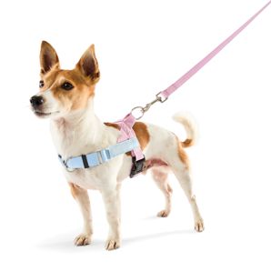 Anko Pink Custom Harness Walking Set - Small