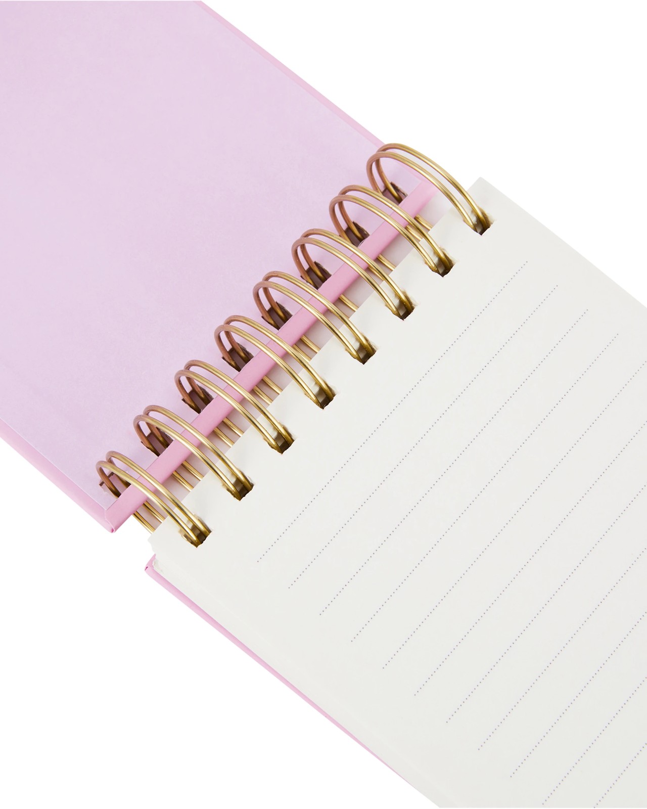 Anko Sardine Note Pad 4 of 6