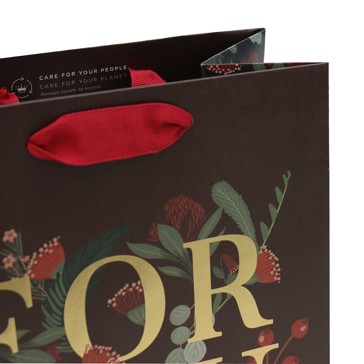 Hallmark x Christie Williams Native Gift Bag - Medium