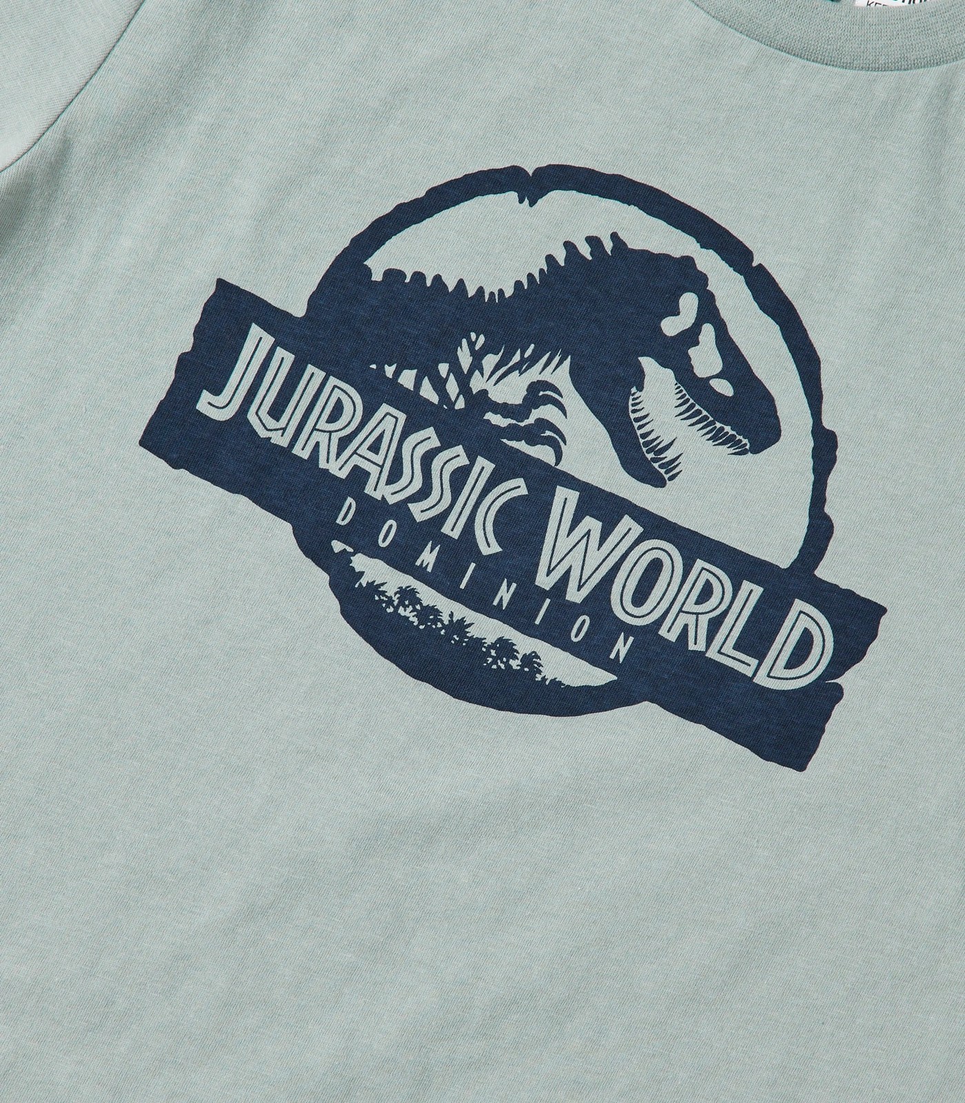 66573975_6+20D861_370