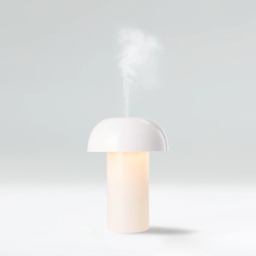 Anko Desktop Humidifier With Light