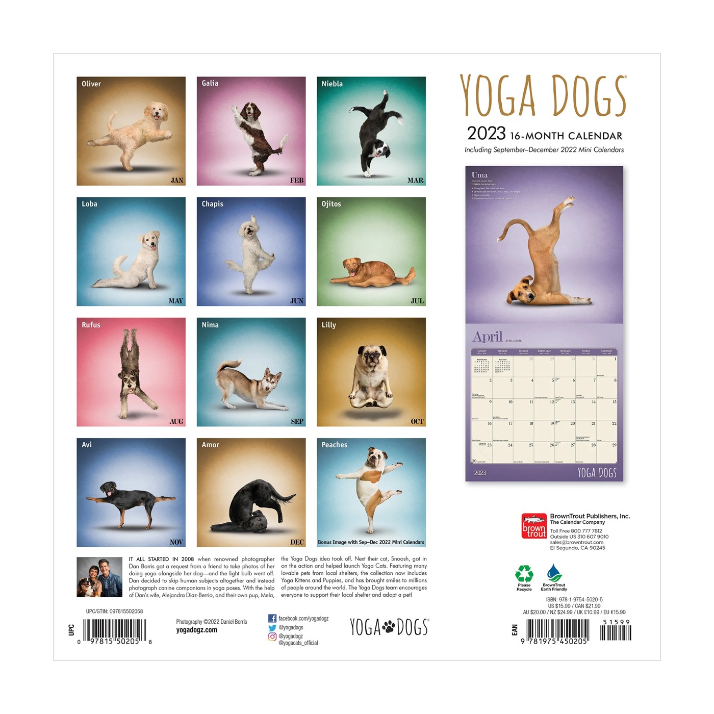 Yoga Dogs 2023 Square Calendar Target Australia