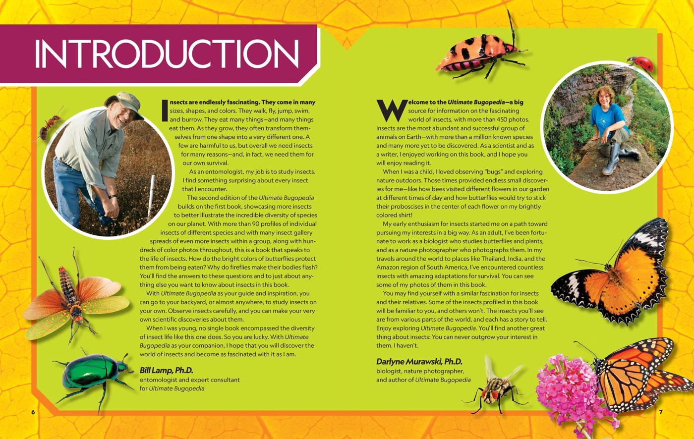 National Geographic Kids: Ultimate Bug-0pedia Second Edition by Darlyne Murawski and Nancy Honovich - Book 3 of 5