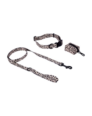 Anko Leopard Collar Walking Set - Large