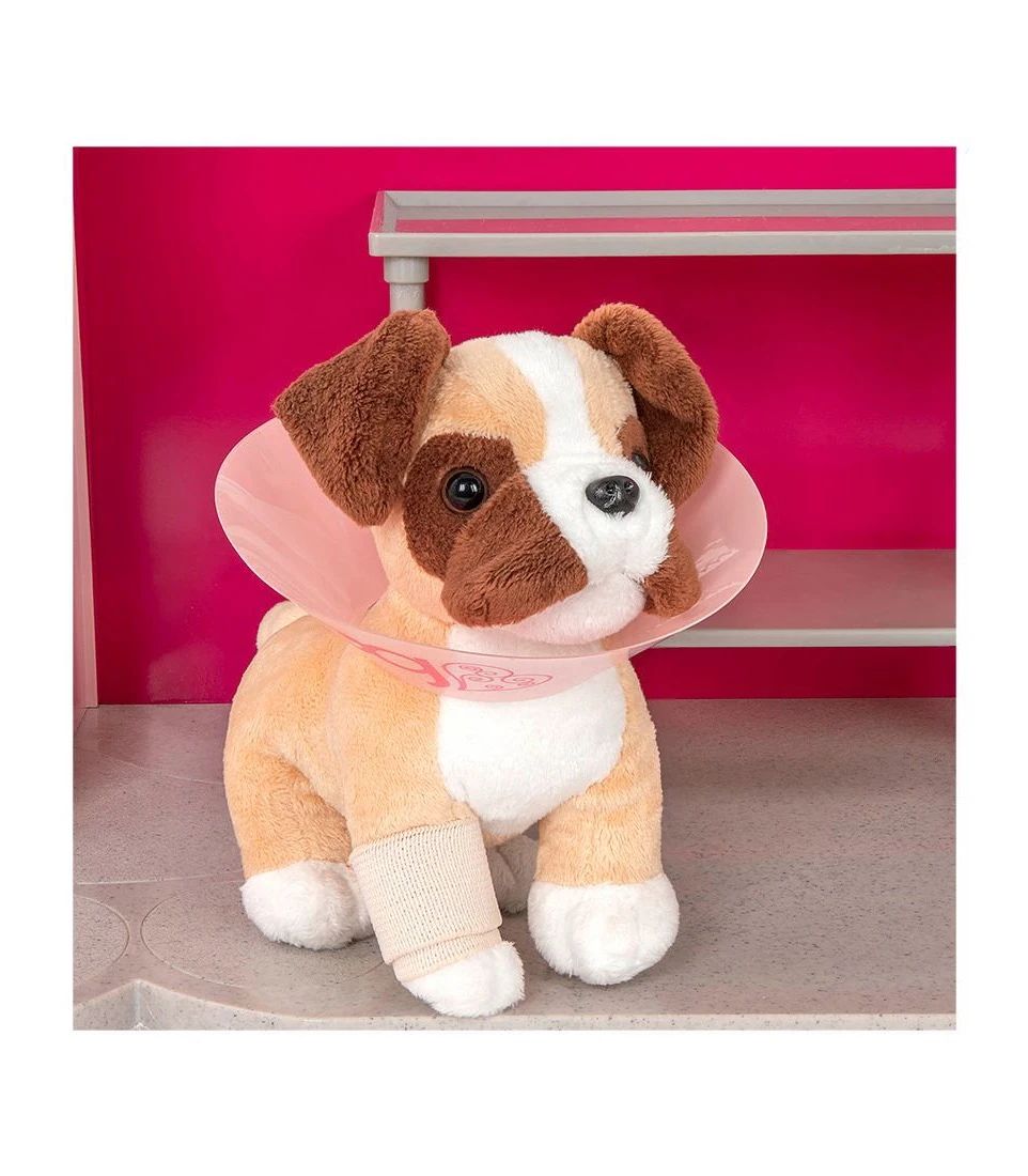 Our Generation Healthy Paws Vet Clinic Target Australia