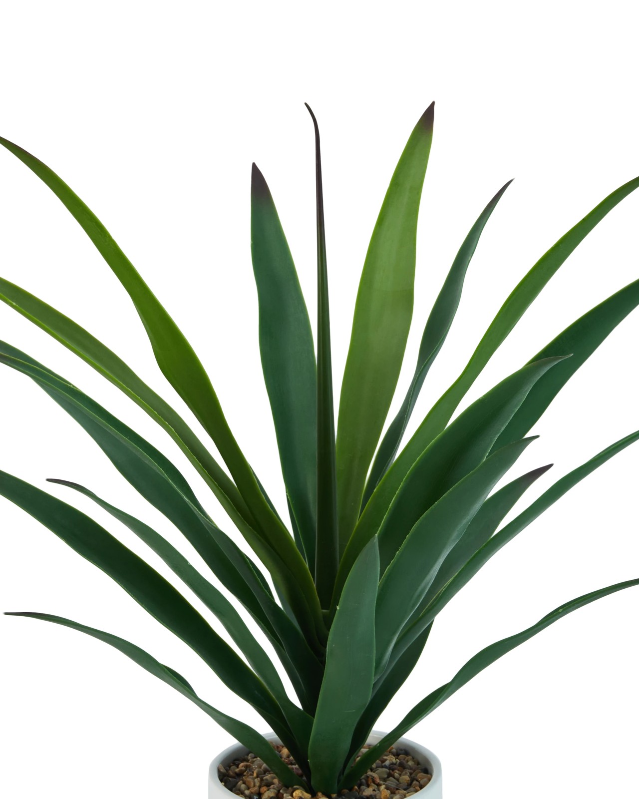 Anko Artificial Agave Plant in Pot 2 of 3