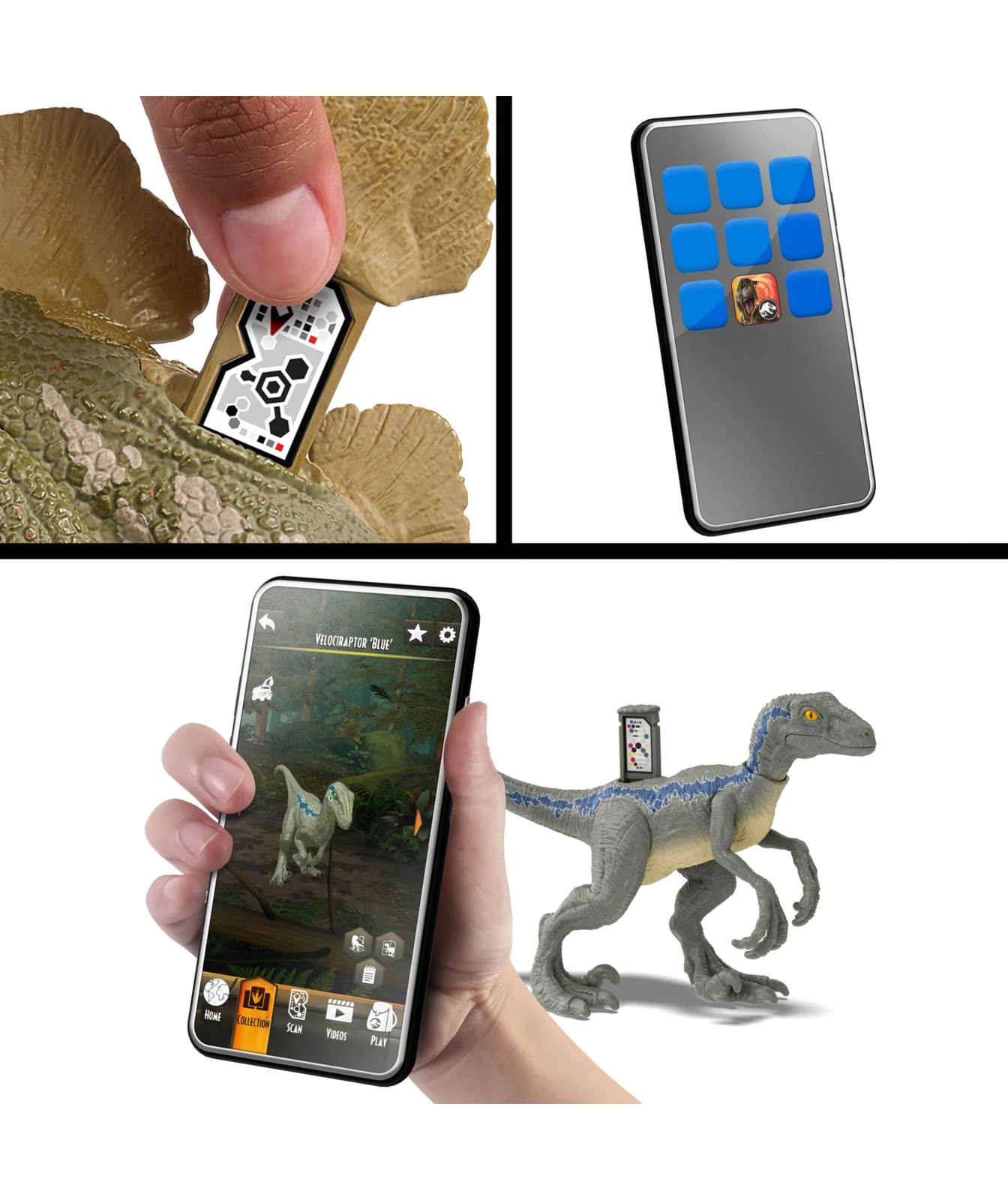 67843398-IMG-010