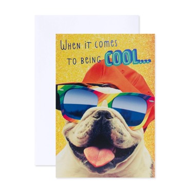 Connections from Hallmark Birthday Card - Cool Bulldog