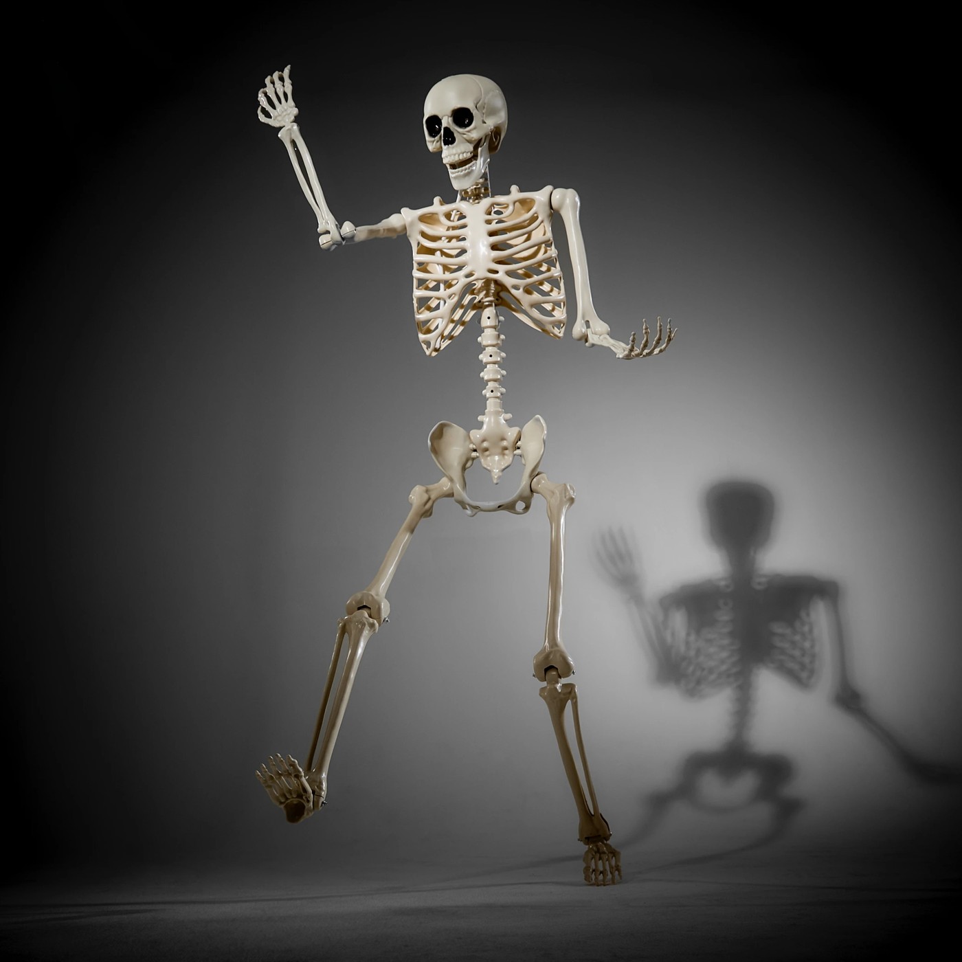Anko Battery Operated LED Light Up Poseable Skeleton 2 of 6