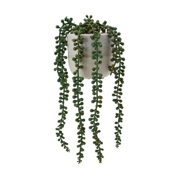 String of Pearls Plant Pot  - Anko