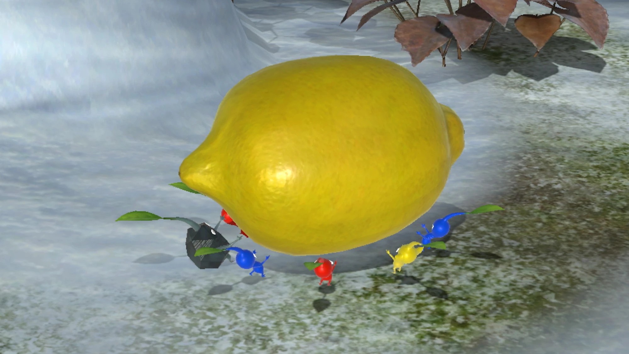 69592904-IMG-003