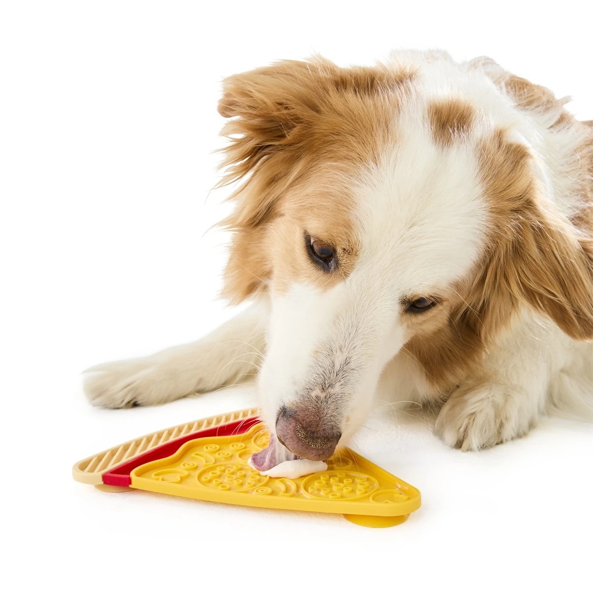 Novelty Pet Lick Mat, Assorted - Anko 2 of 6