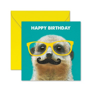 Hallmark Birthday Card - Meerkat